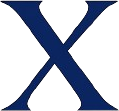 THE X CORP X